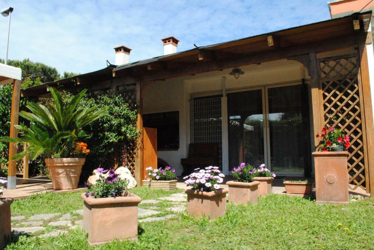 Villa Regina B&B Nettuno Exteriör bild